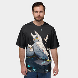 Футболка оверсайз мужская Филины и магия, цвет: 3D-принт — фото 2