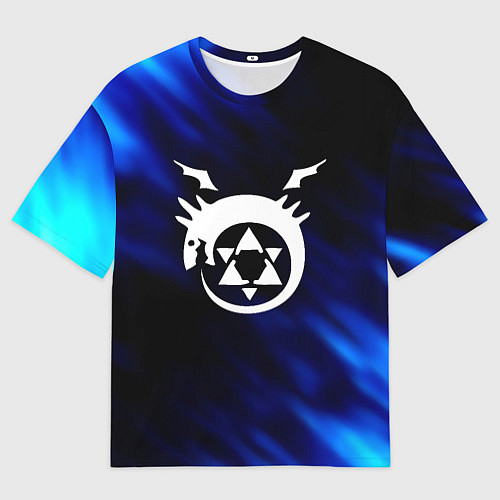 Мужская футболка оверсайз Fullmetal Alchemist soul / 3D-принт – фото 1