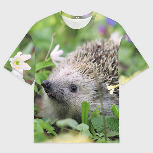 Мужская футболка оверсайз Лесной ёжик в траве / 3D-принт – фото 1
