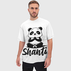 Футболка оверсайз мужская Шанти панда, цвет: 3D-принт — фото 2