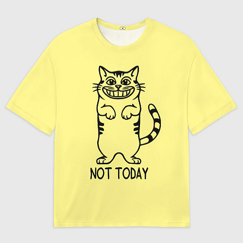 Мужская футболка оверсайз Хитрый кот / 3D-принт – фото 1