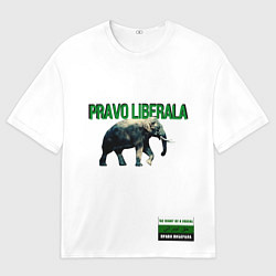 Футболка оверсайз мужская Право либерала, цвет: 3D-принт