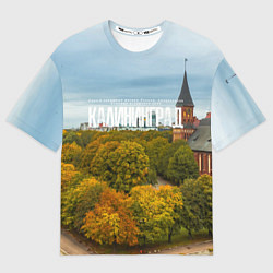 Футболка оверсайз мужская Калининград янтарная столица, цвет: 3D-принт