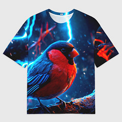 Мужская футболка оверсайз Снигирь и молнии