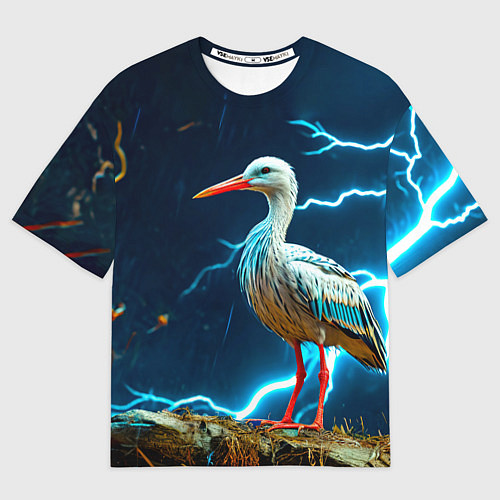Мужская футболка оверсайз Аист и гроза / 3D-принт – фото 1