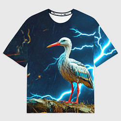 Мужская футболка оверсайз Аист и гроза