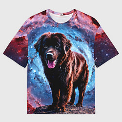 Мужская футболка оверсайз Ньюфаундленд в космосе