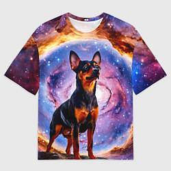 Футболка оверсайз мужская Пинчер в космосе, цвет: 3D-принт