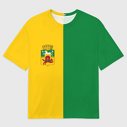 Футболка оверсайз мужская Новокузнецк, зелёно-жёлтый, герб и надпись на спин, цвет: 3D-принт