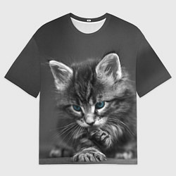 Мужская футболка оверсайз Голубоглазый котенок