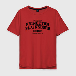 Мужская футболка оверсайз Princeton Plainsboro