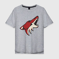 Футболка оверсайз мужская Phoenix Coyotes, цвет: меланж