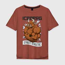 Мужская футболка оверсайз Iceberg: Street Athletic