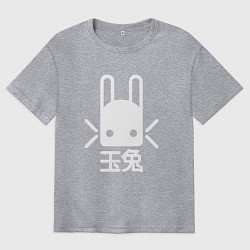 Футболка оверсайз мужская Destiny Rabbit, цвет: меланж