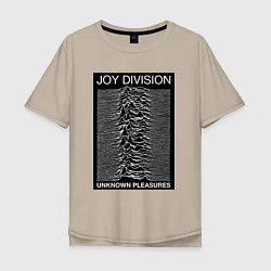 Мужская футболка оверсайз Joy Division: Unknown Pleasures