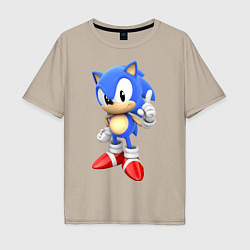 Мужская футболка оверсайз Classic Sonic