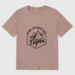 Футболка оверсайз мужская Лучше гор могут быть только горы, цвет: пыльно-розовый