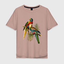 Мужская футболка оверсайз Тропические попугаи