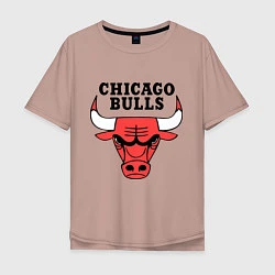 Футболка оверсайз мужская Chicago Bulls, цвет: пыльно-розовый