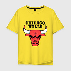 Мужская футболка оверсайз Chicago Bulls