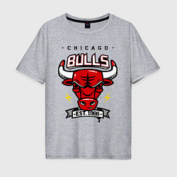 Футболка оверсайз мужская Chicago Bulls est. 1966, цвет: меланж