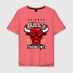 Мужская футболка оверсайз Chicago Bulls est. 1966