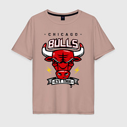 Мужская футболка оверсайз Chicago Bulls est. 1966