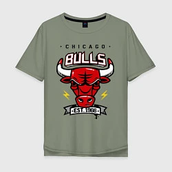 Мужская футболка оверсайз Chicago Bulls est. 1966