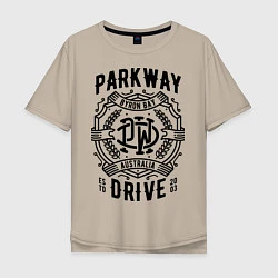 Мужская футболка оверсайз Parkway Drive: Australia