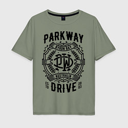 Футболка оверсайз мужская Parkway Drive: Australia, цвет: авокадо