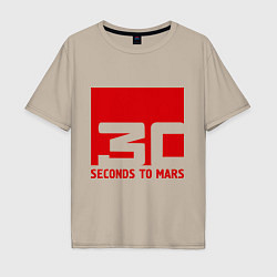 Мужская футболка оверсайз 30 seconds to mars