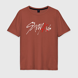 Футболка оверсайз мужская STRAY KIDS FELIX, цвет: кирпичный