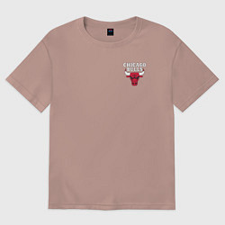 Мужская футболка оверсайз CHICAGO BULLS