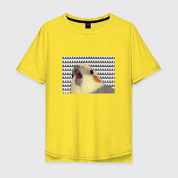 Мужская футболка оверсайз Орущий попугай