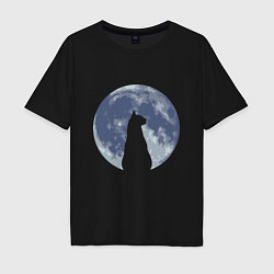 Футболка оверсайз мужская Night Cat, цвет: черный