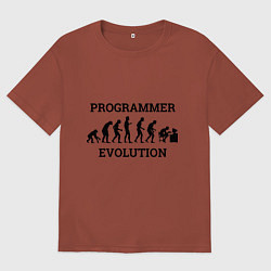 Мужская футболка оверсайз Эволюция программиста