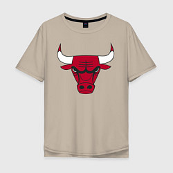 Мужская футболка оверсайз Chicago Bulls