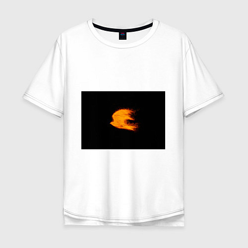Мужская футболка оверсайз Огненная птица / Белый – фото 1