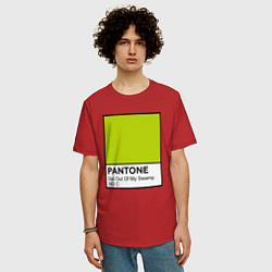 Футболка оверсайз мужская Shrek: Pantone Color, цвет: красный — фото 2