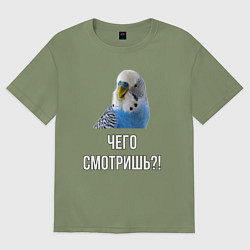 Мужская футболка оверсайз Чего смотришь!?
