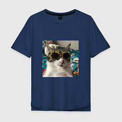 Мужская футболка оверсайз Мем про кота