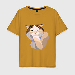 Мужская футболка оверсайз Подмигивающий котик