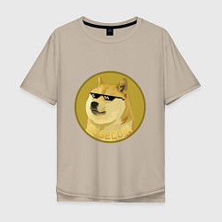 Мужская футболка оверсайз Dogecoin