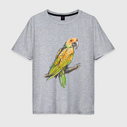 Футболка оверсайз мужская Любимый попугай, цвет: меланж