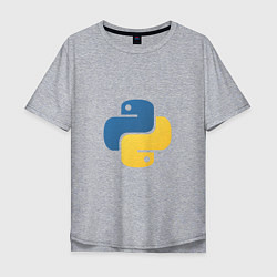 Мужская футболка оверсайз Python язык