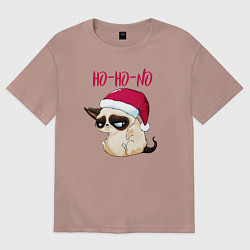 Мужская футболка оверсайз Ugly cat Ho-Ho-No