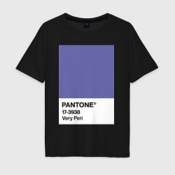 Футболка оверсайз мужская Цвет Pantone 2022 года - Very Peri, цвет: черный