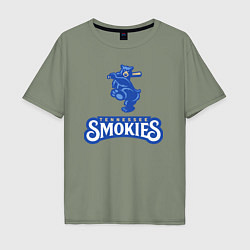 Мужская футболка оверсайз Tennessee smokies - baseball team