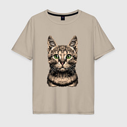 Мужская футболка оверсайз Нарисованный бенгальский кот