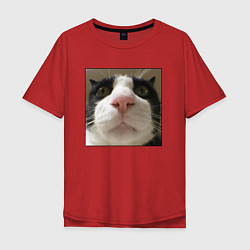 Мужская футболка оверсайз Задумчивый кот